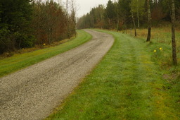 DSC04354.jpg