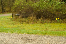 DSC04355.jpg