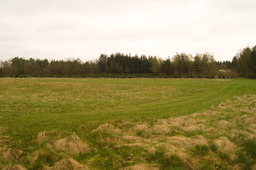 DSC04356.jpg