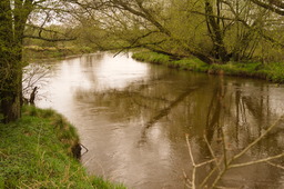 DSC04357.jpg