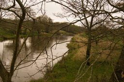 DSC04358.jpg