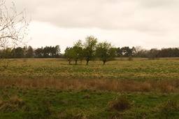 DSC04359.jpg