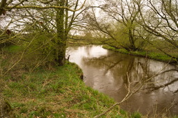 DSC04361.jpg