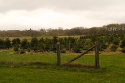 DSC04364.jpg