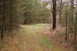 DSC04368.jpg