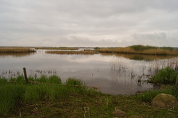 DSC04385.jpg