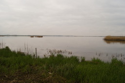 DSC04386.jpg