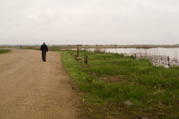 DSC04389.jpg