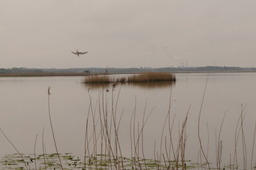 DSC04394.jpg