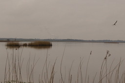 DSC04395.jpg