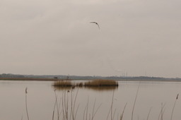 DSC04396.jpg
