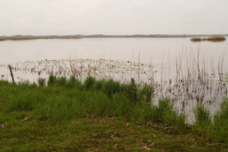 DSC04397.jpg