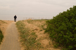 DSC04410.jpg