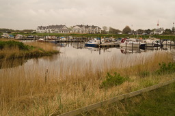 DSC04427.jpg