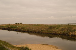 DSC04429.jpg