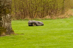 DSC04442.jpg