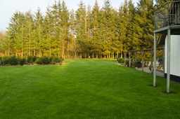 DSC04474.jpg