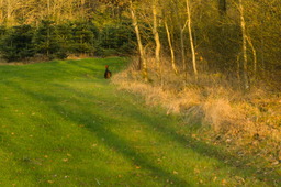 DSC04486.jpg
