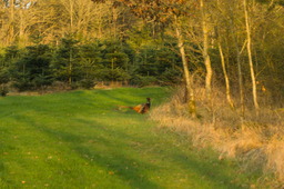 DSC04488.jpg