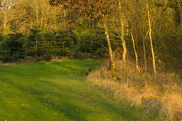 DSC04489.jpg