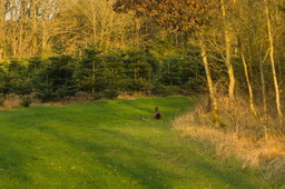 DSC04490.jpg