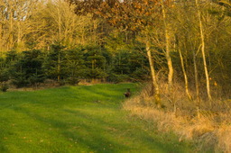 DSC04492.jpg