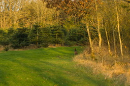 DSC04493.jpg