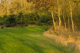 DSC04494.jpg