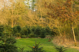 DSC04496.jpg