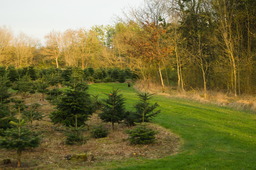 DSC04497.jpg