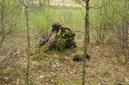 DSC04521.jpg