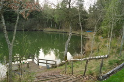 DSC04528.jpg