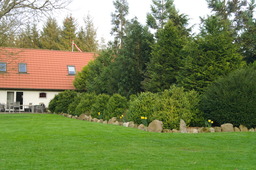 DSC04529.jpg