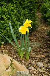 DSC04532.jpg