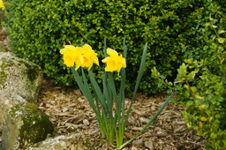 DSC04533.jpg