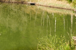 DSC04536.jpg