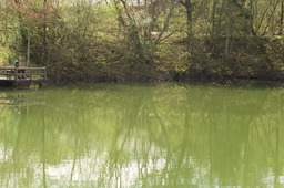 DSC04543.jpg
