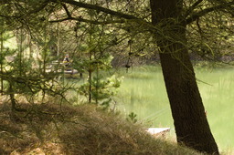 DSC04544.jpg