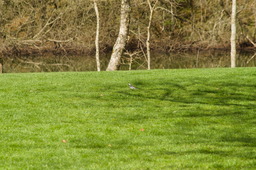 DSC04550.jpg