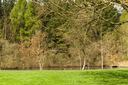 DSC04557.jpg