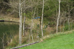 DSC04564.jpg