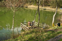 DSC04567.jpg