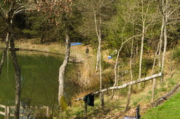 DSC04569.jpg