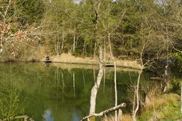 DSC04590.jpg