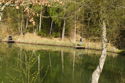 DSC04591.jpg