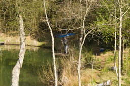 DSC04592.jpg