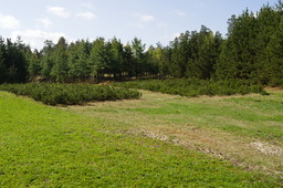 DSC04598.jpg