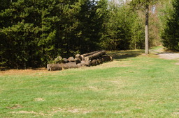 DSC04600.jpg