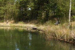 DSC04625.jpg