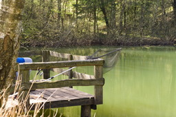 DSC04663.jpg